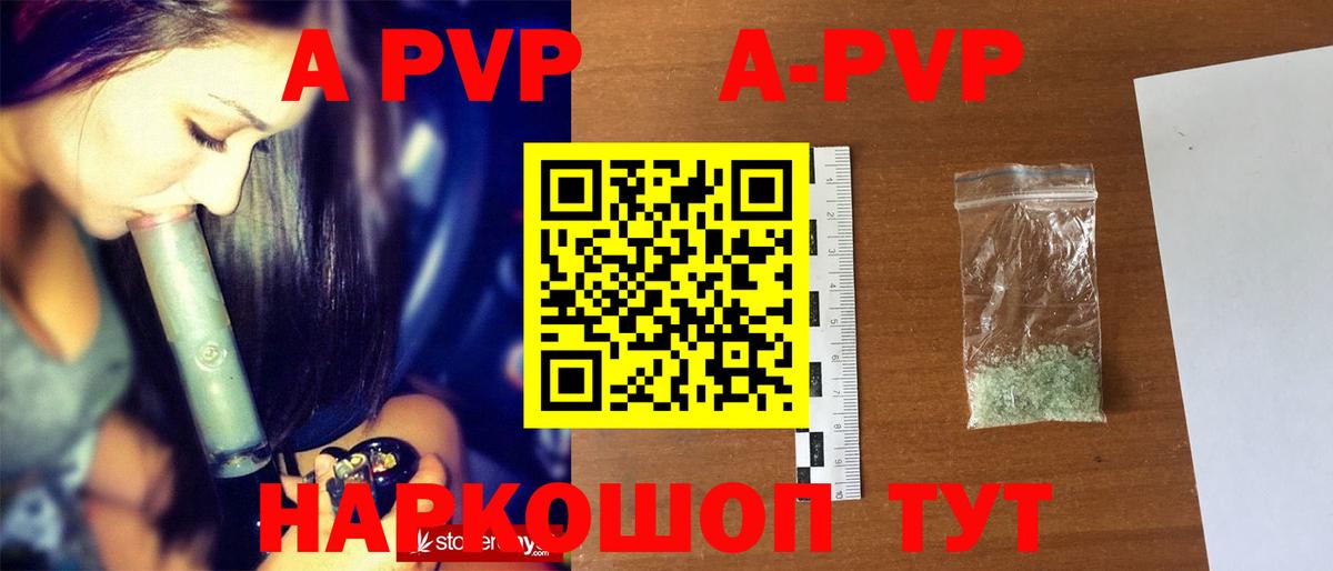 А ПВП СК КРИС  Альфа ПВП СК КРИС  Вход с VPN  Кимовск 