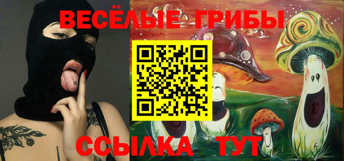 Псилоцибиновые грибы Psilocybe  Вход с VPN  Кимовск 