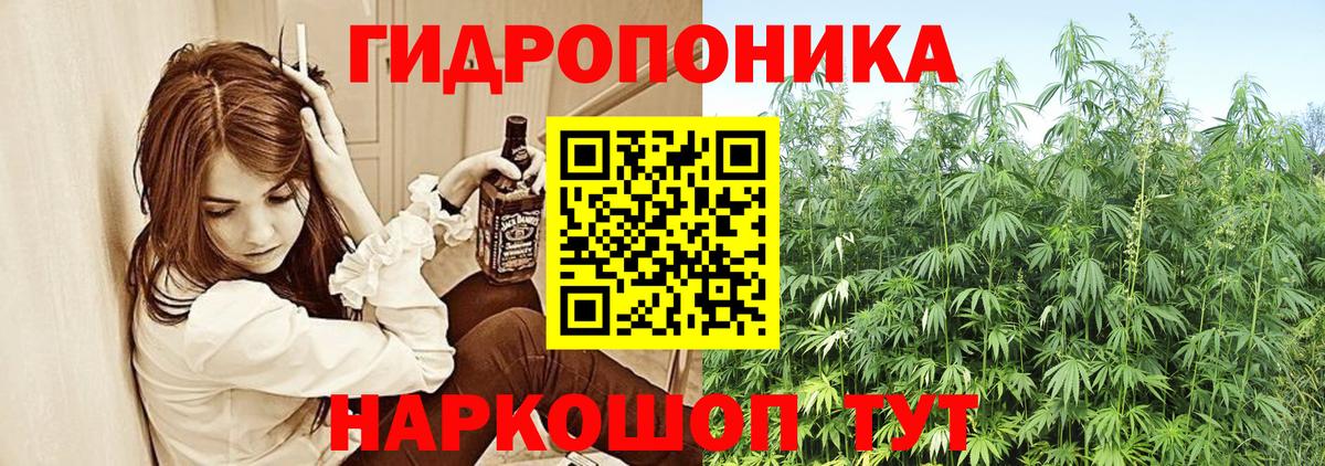 Бошки марихуана Bruce Banner Кимовск